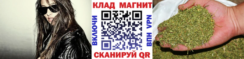 Купить наркотик аптеки Сасово blacksprut маркетплейс  COCAIN  Амфетамин  Псилоцибиновые грибы  Меф  МАРИХУАНА  Гашиш 