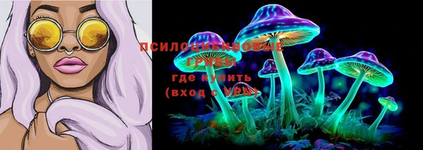 ПСИЛОЦИБИНОВЫЕ ГРИБЫ Армянск